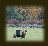 Leon and Esther a romance novel
